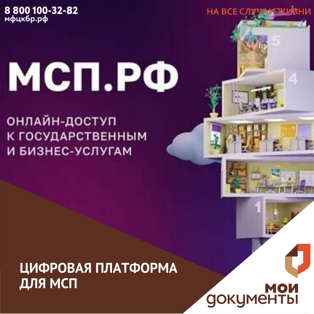 В России запущена цифровая платформа для МСП.